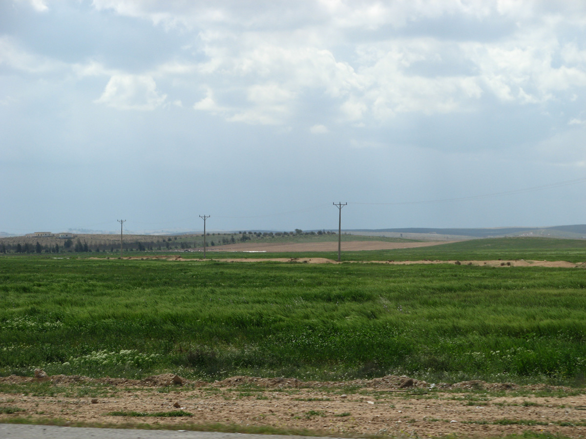 Amman, 38 miles NE of Amman