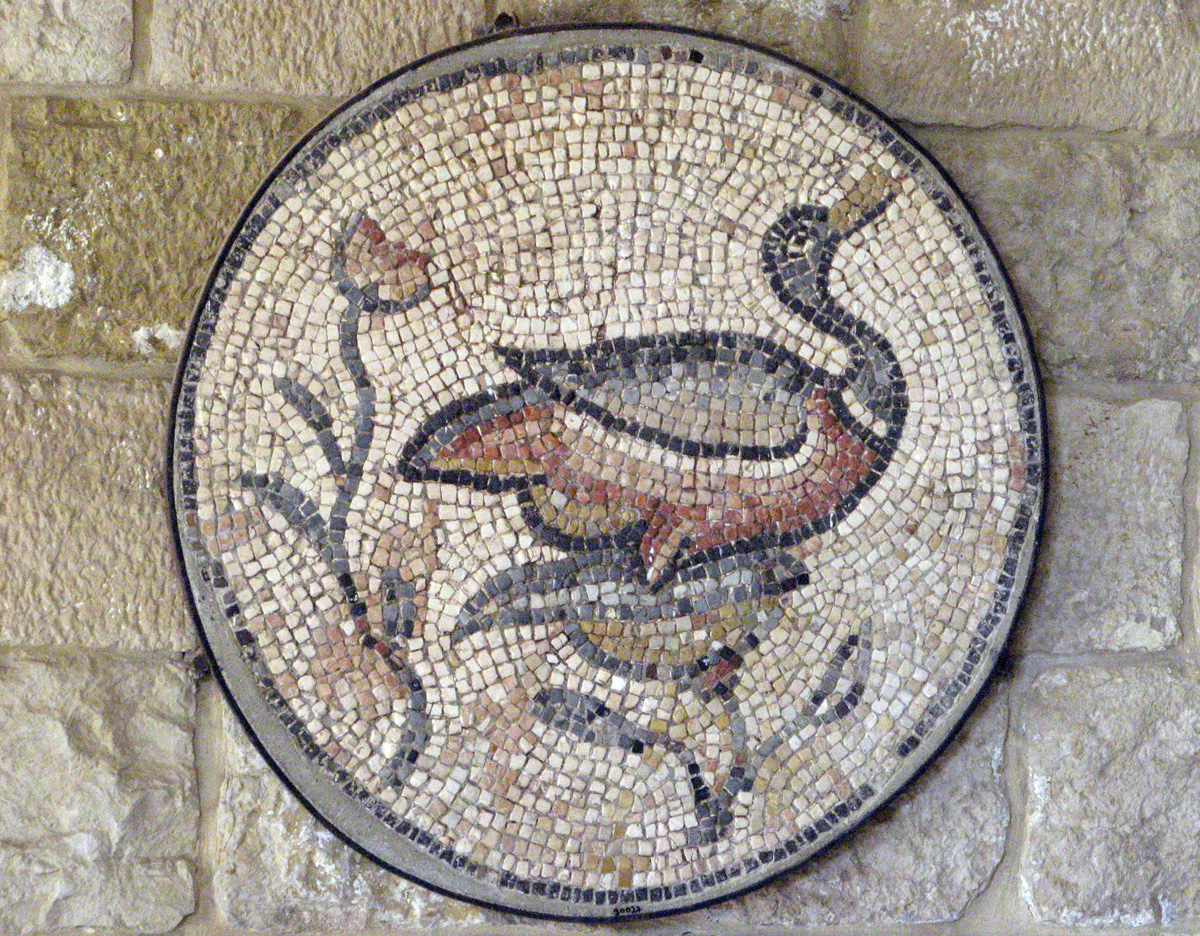 Chouf Mountains, Duck Mosaic