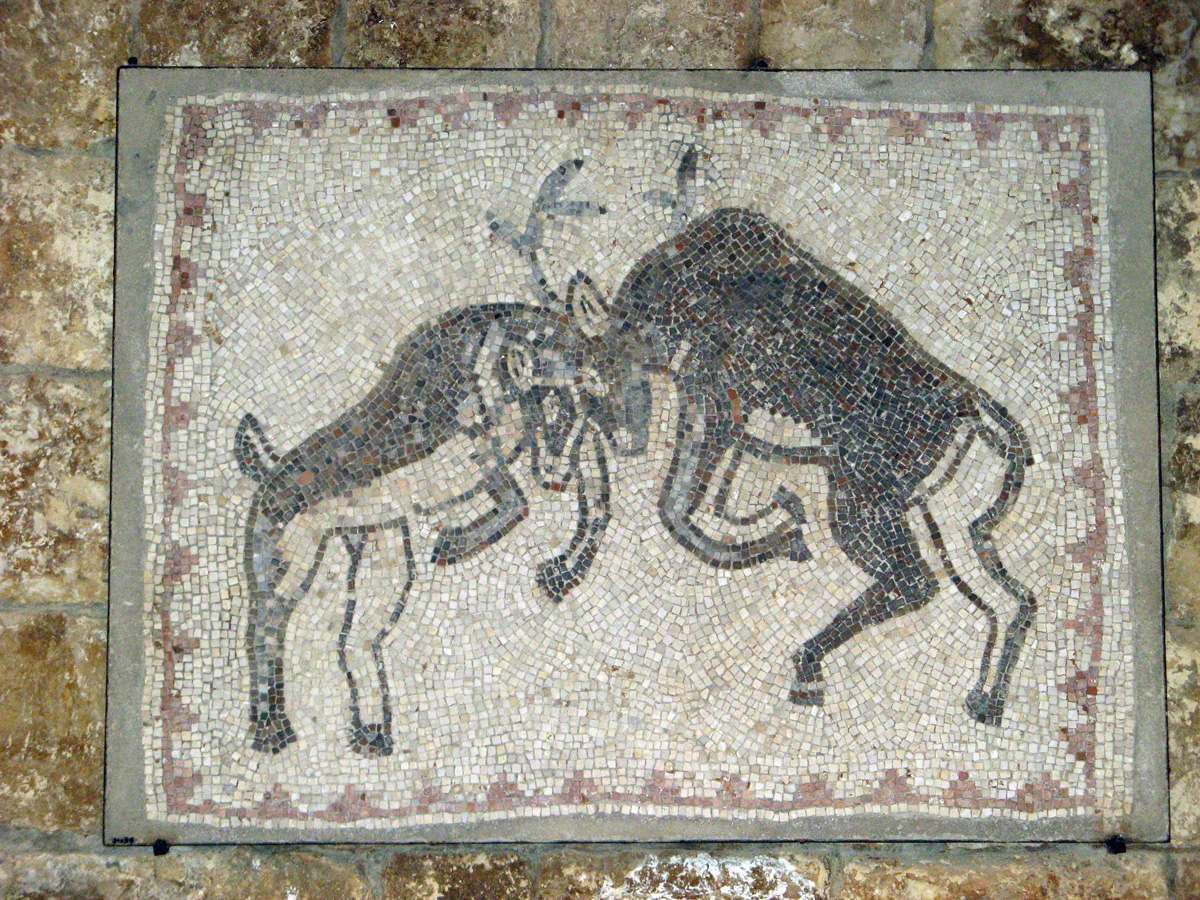 Chouf Mountains, Stags Fighting