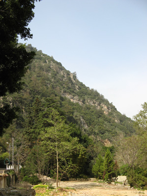 Green mountains.  6 m. W of Beiteddine, Chouf Mountains, Lebanon 2010