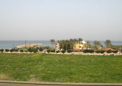 7 m. South of Beirut, Sidon, Lebanon 2010
