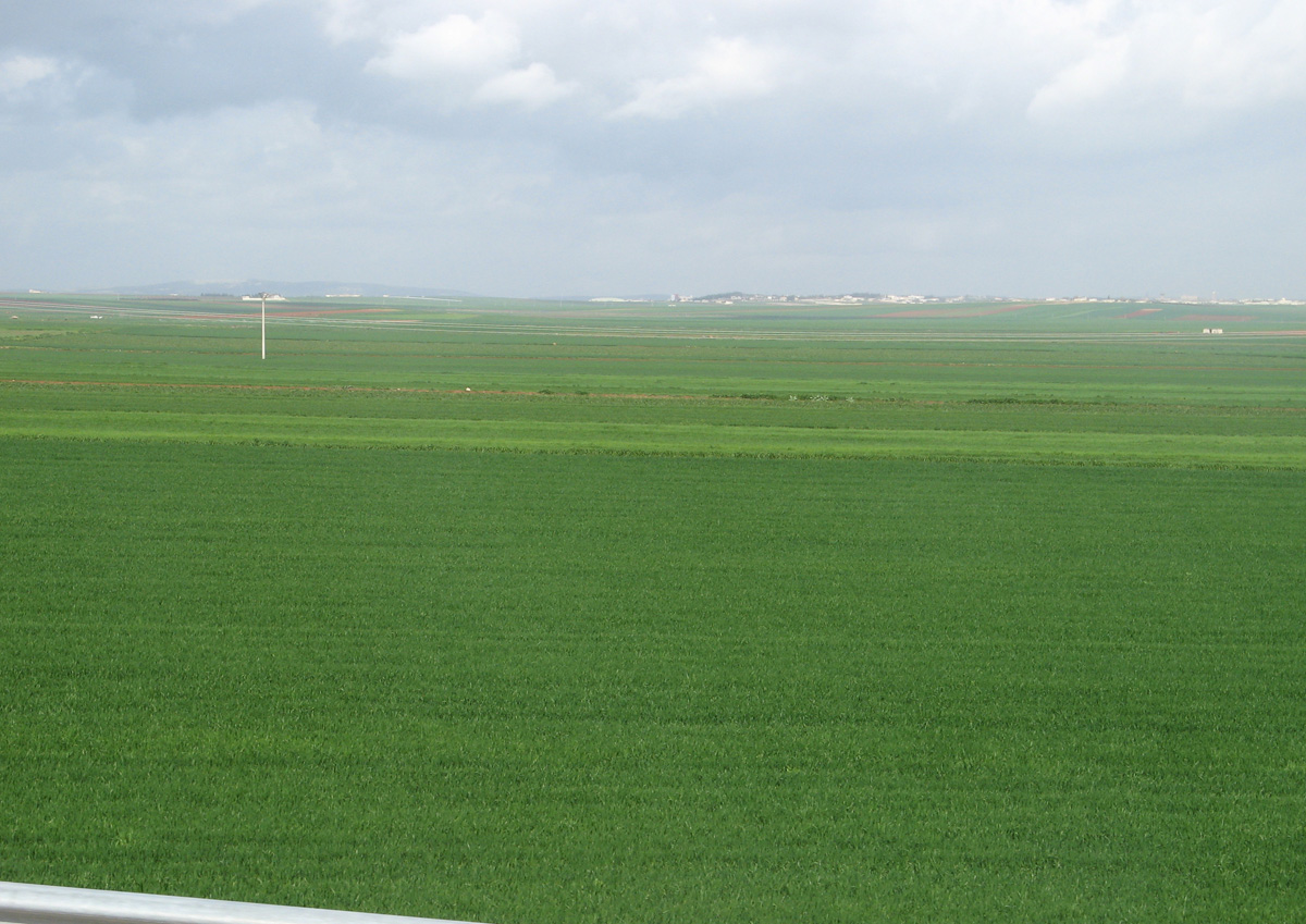 Aleppo, 17 miles SW of Aleppo