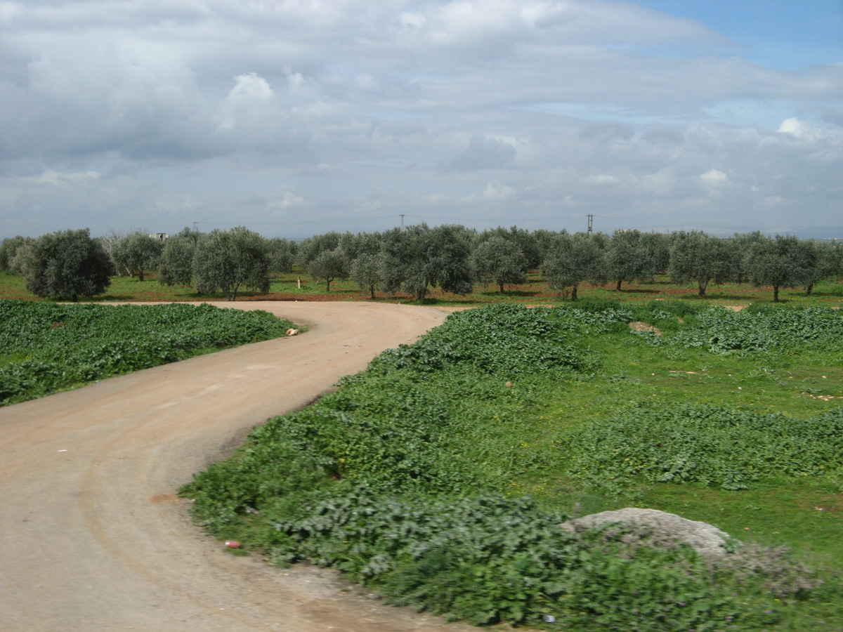 Aleppo, 26 miles SW of Aleppo