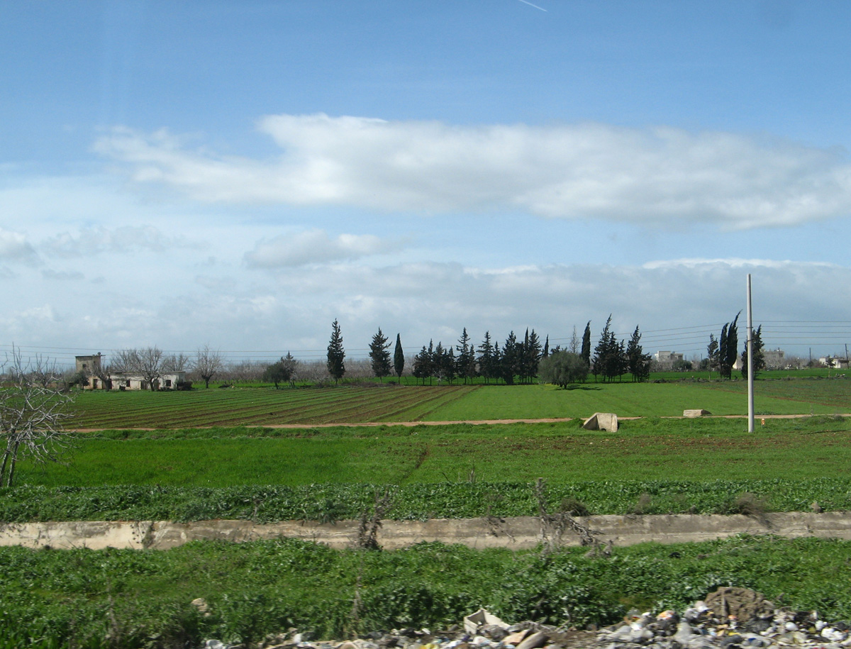 Aleppo, 11 miles North of Homs