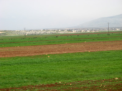 Lush Fields: 24 miles W of Aleppo, Syria 2010