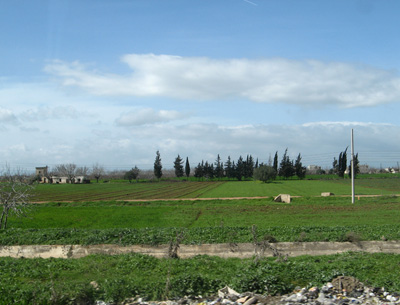 11 miles North of Homs, Aleppo, Syria 2010