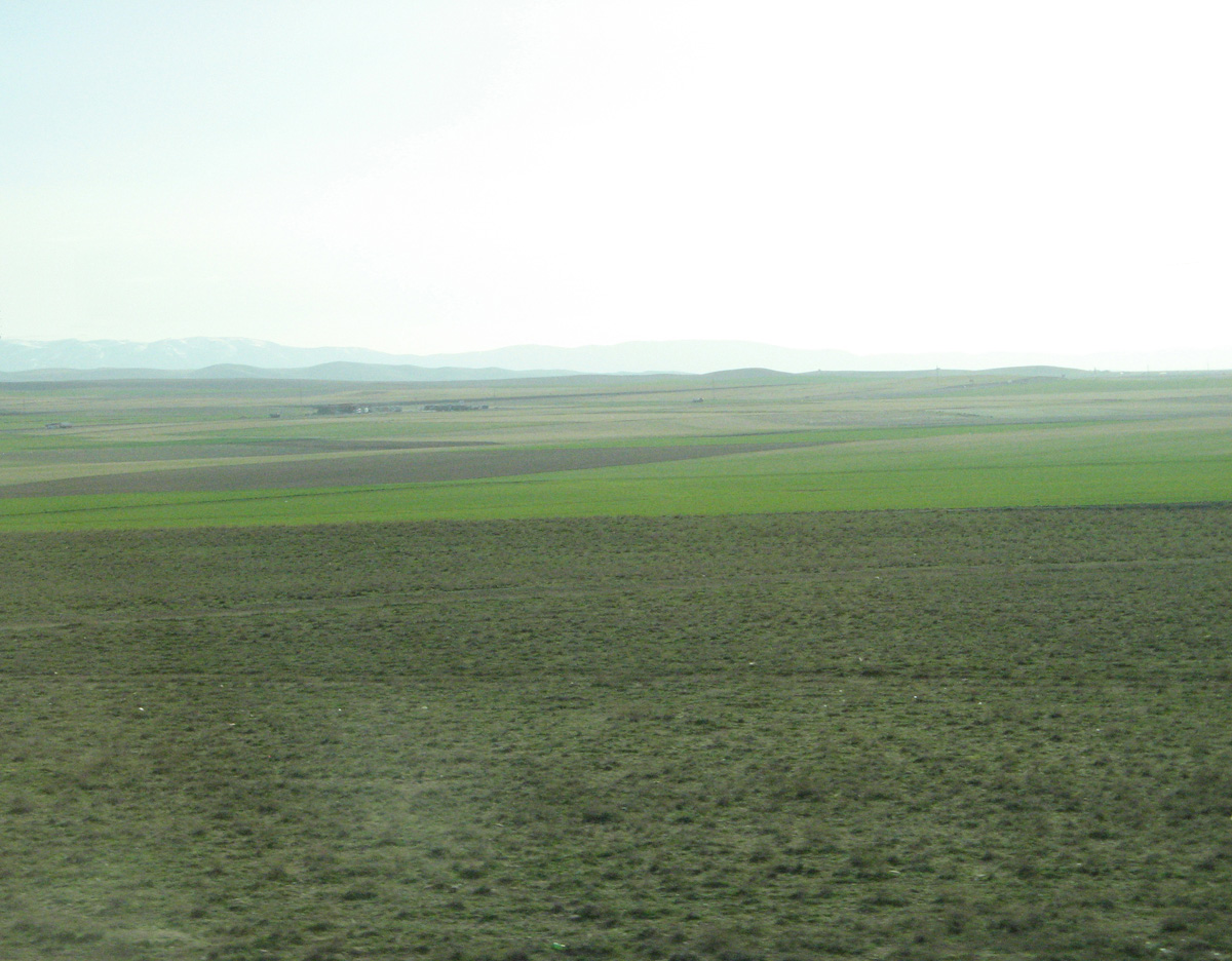 Ankara, Farmland, 70 miles NW of Adana