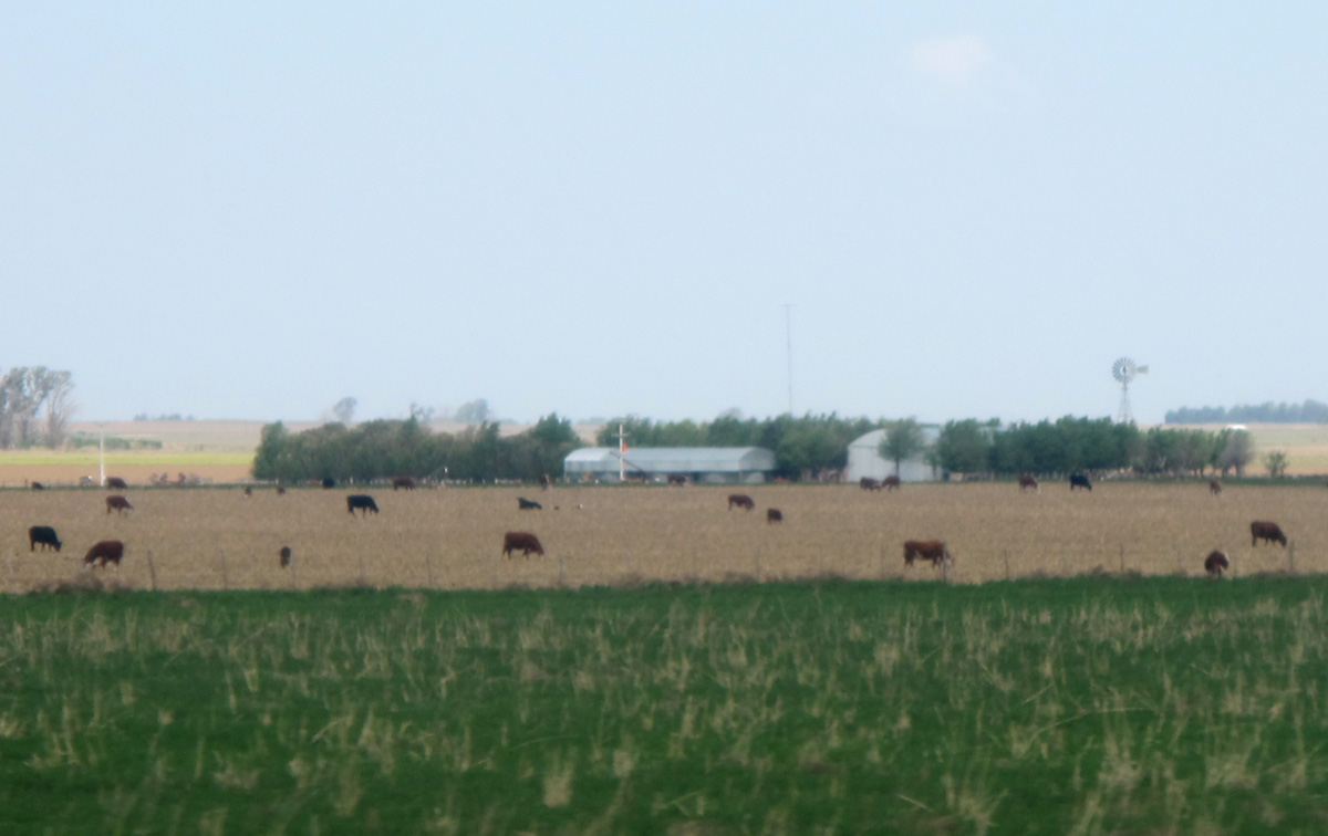 Mendoza, 150 miles South of Cordoba