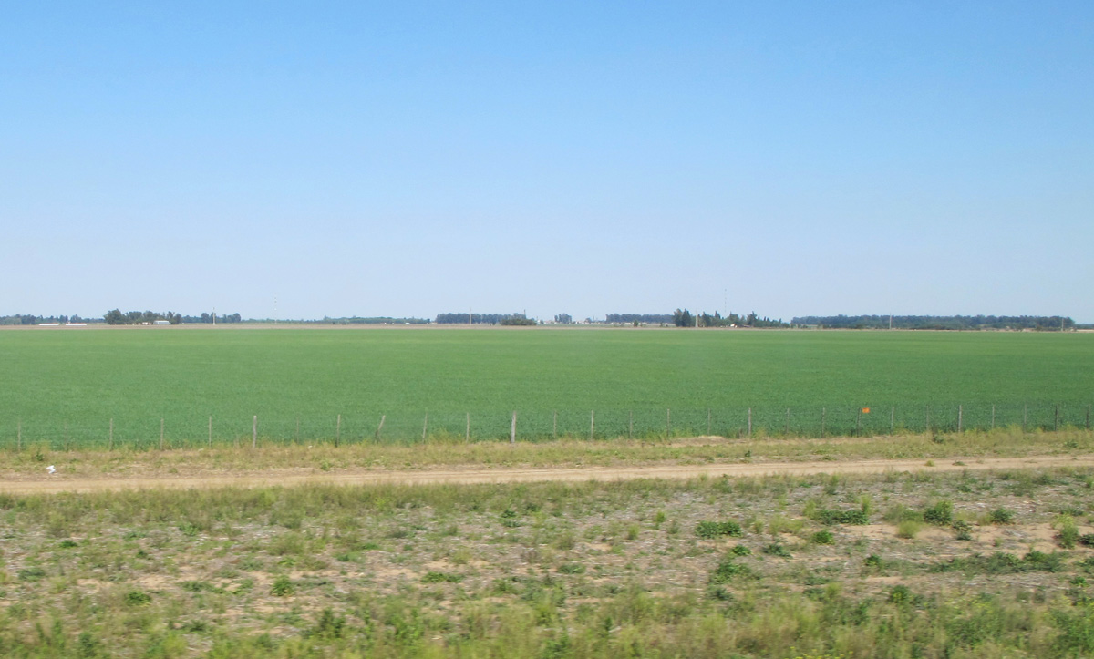 Cordoba, 42 miles SE of Cordoba