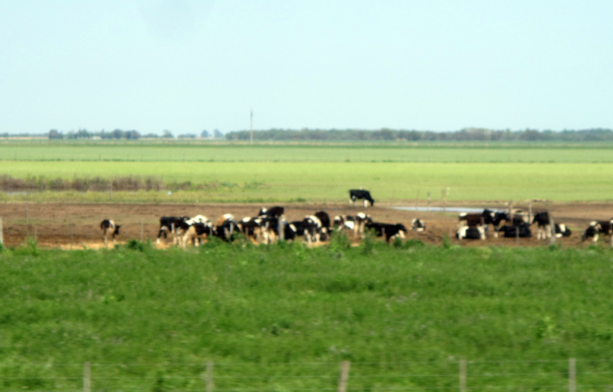 Cordoba, 83 miles SE of Cordoba