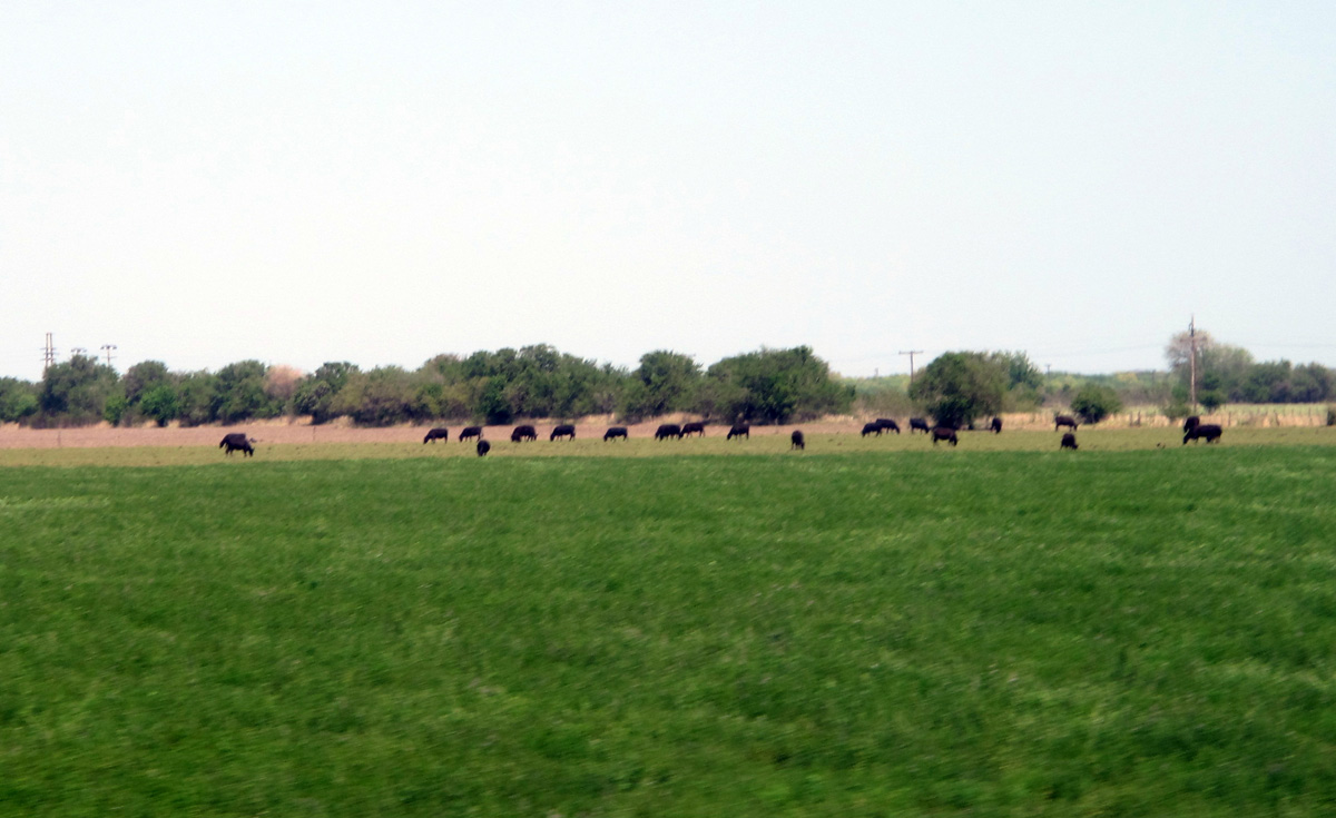 Cordoba, 102 miles SE of Cordoba
