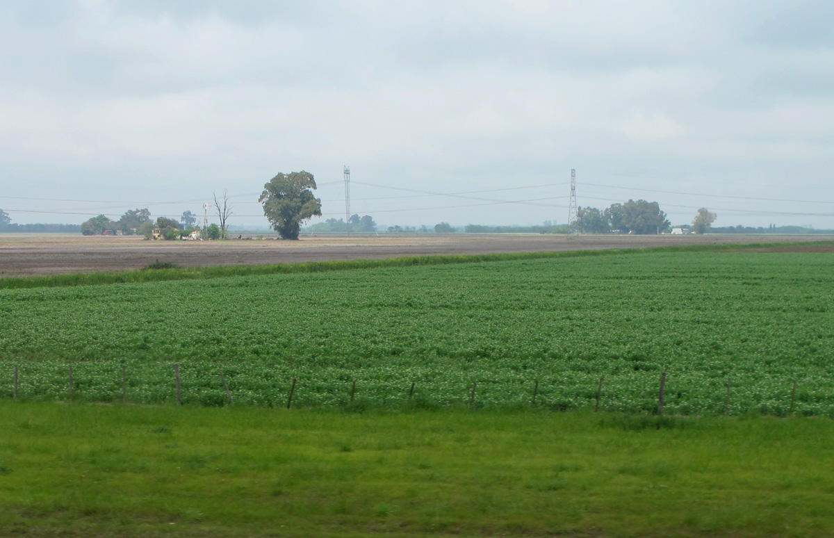 Rosario, 18 miles SE of Rosario