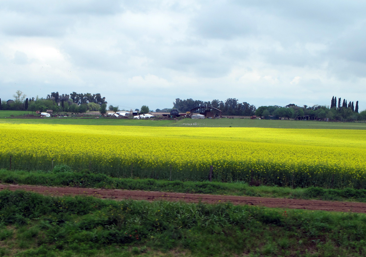 Rosario, 85 miles NW of B.A.
