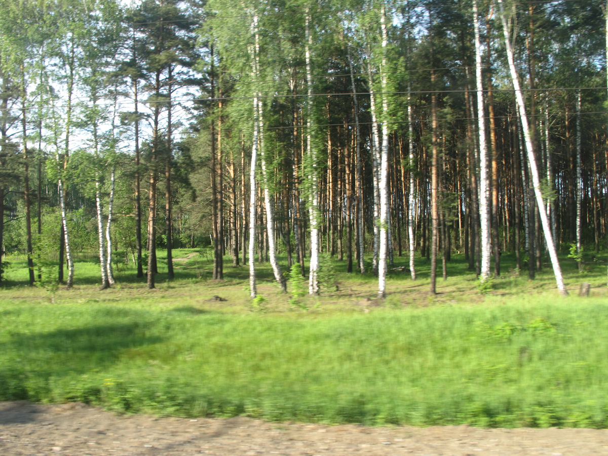 Ryazan, 35 miles E of Moscow