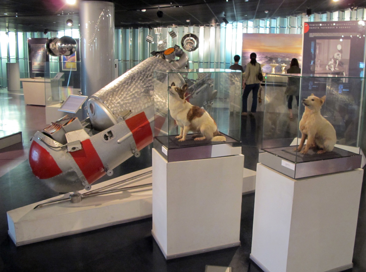 Moscow, Belka and Strelka And their spaceship.