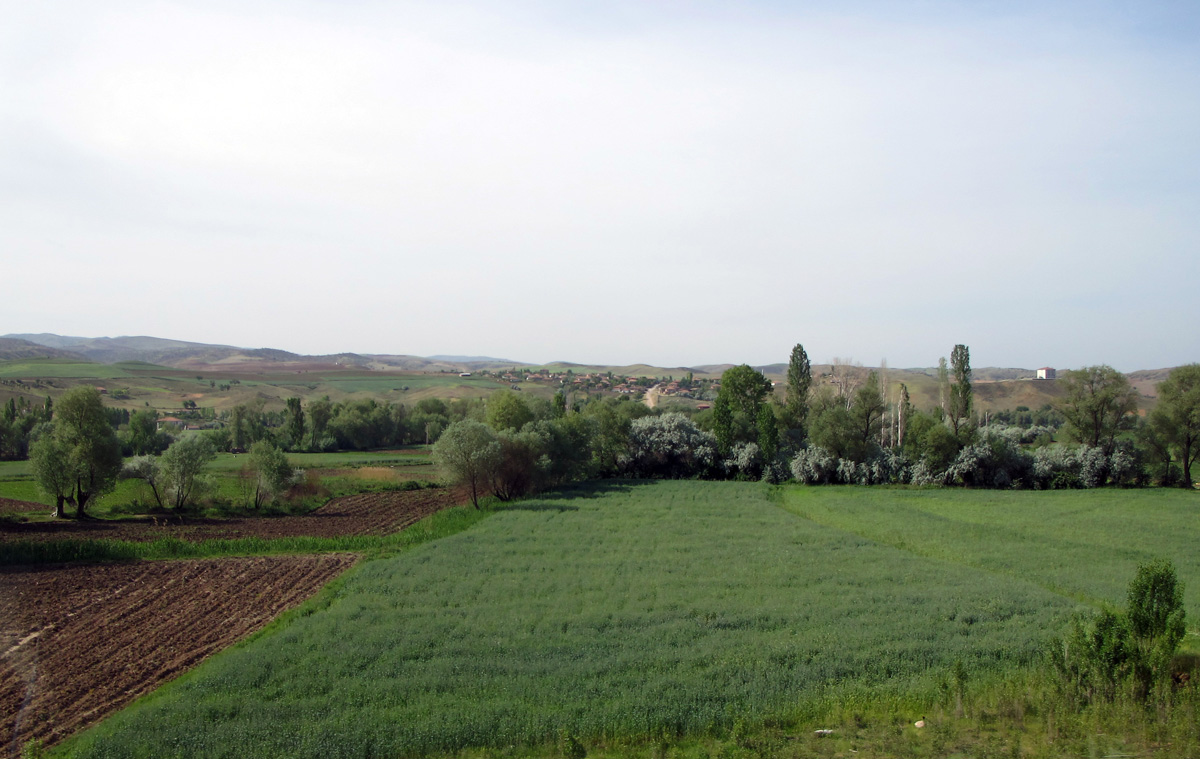 Ankara, 42 miles E of Ankara