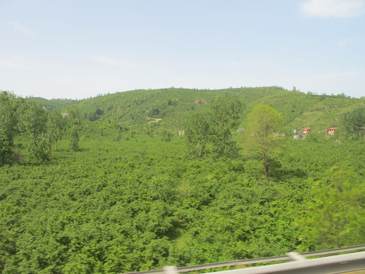 Samsun, 68 miles E of Samsun