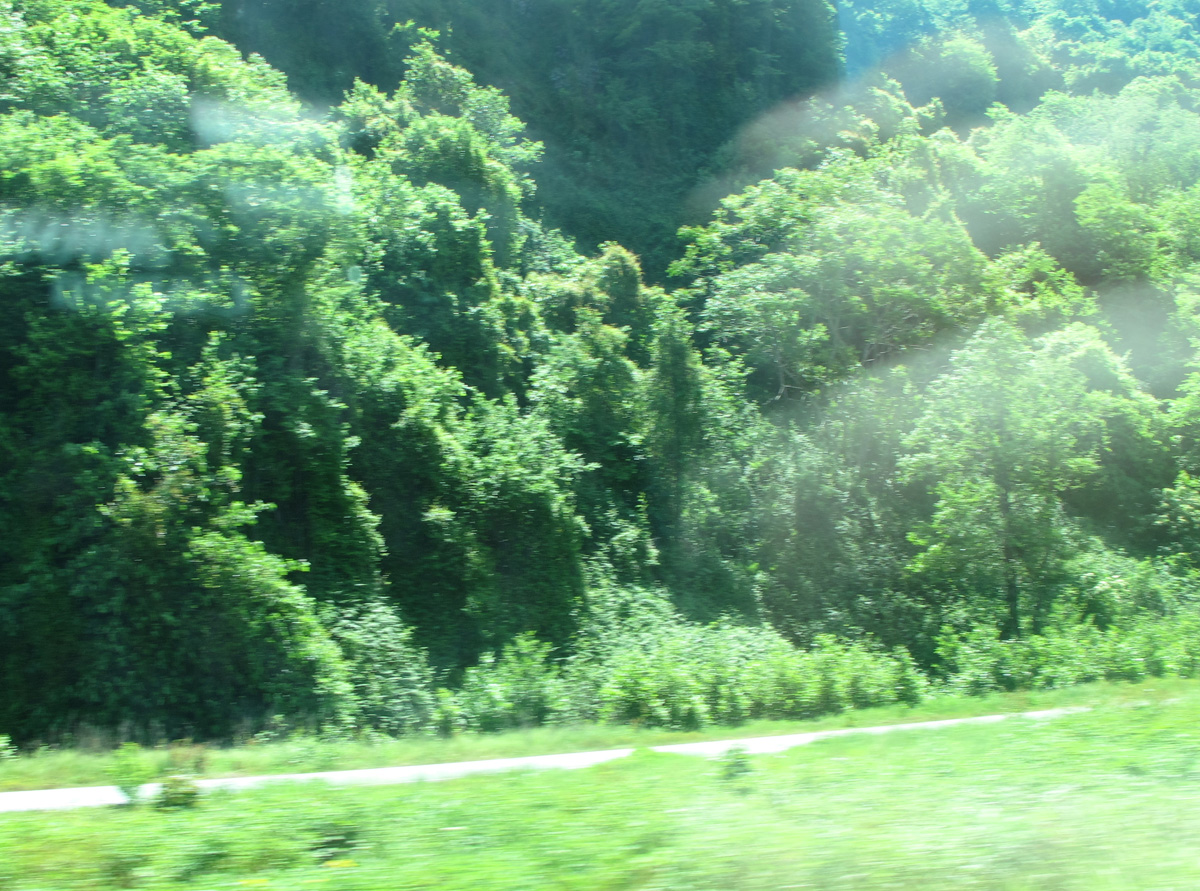 Trabzon, Lush Green, 55m SW of Batumi