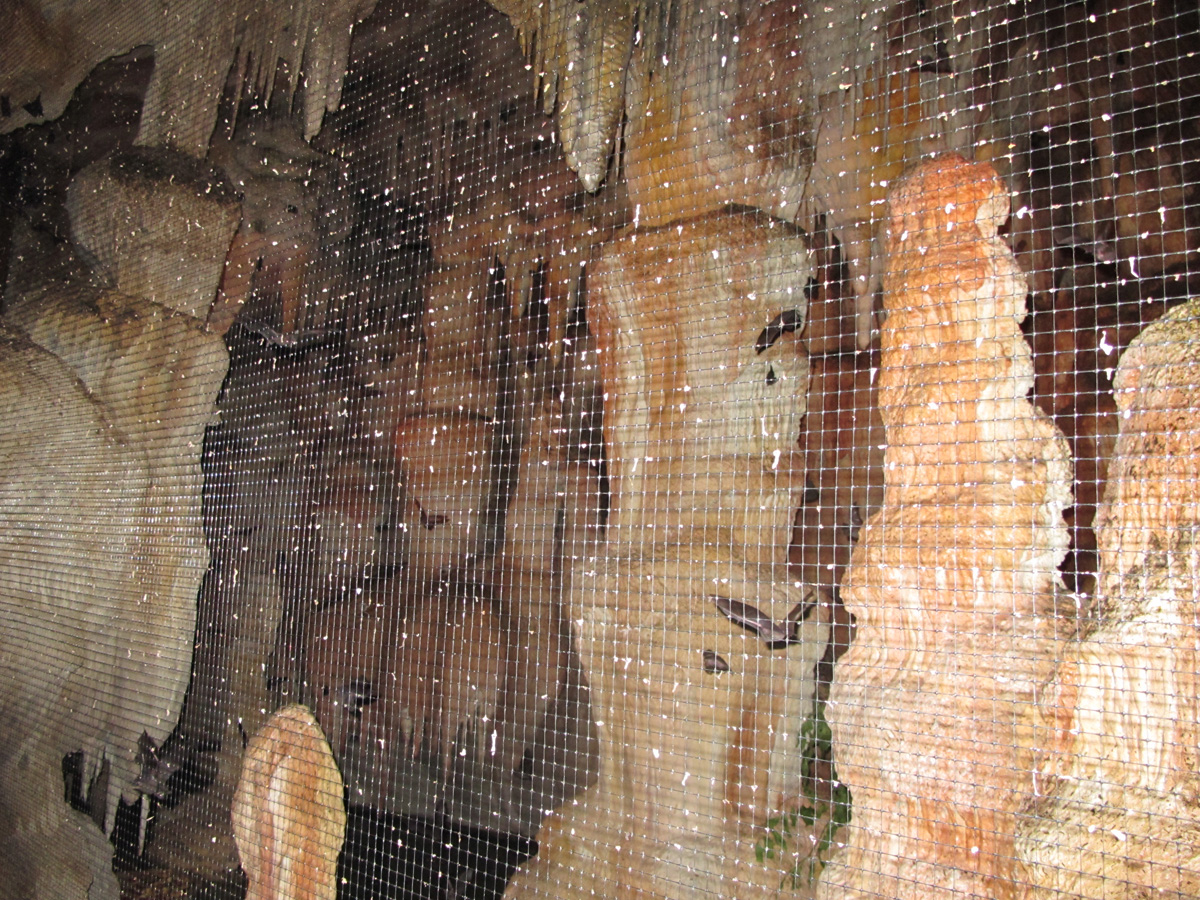 Omaha, NE, The Bat Cave With hundreds of fluttering bats.