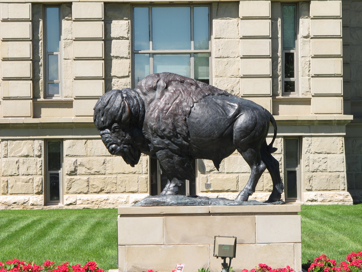 Cheyenne, WY, Wyoming Buffalo