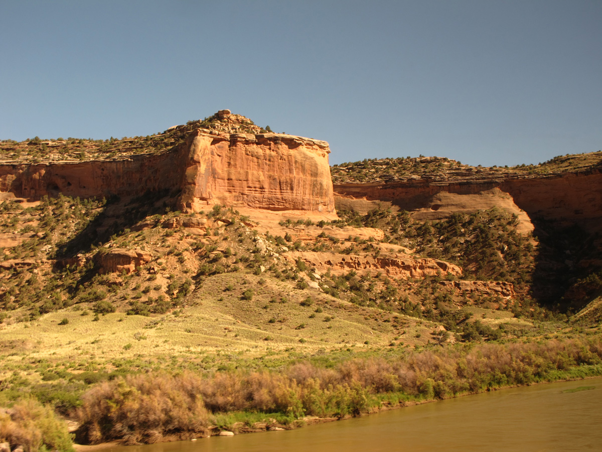 Amtrak