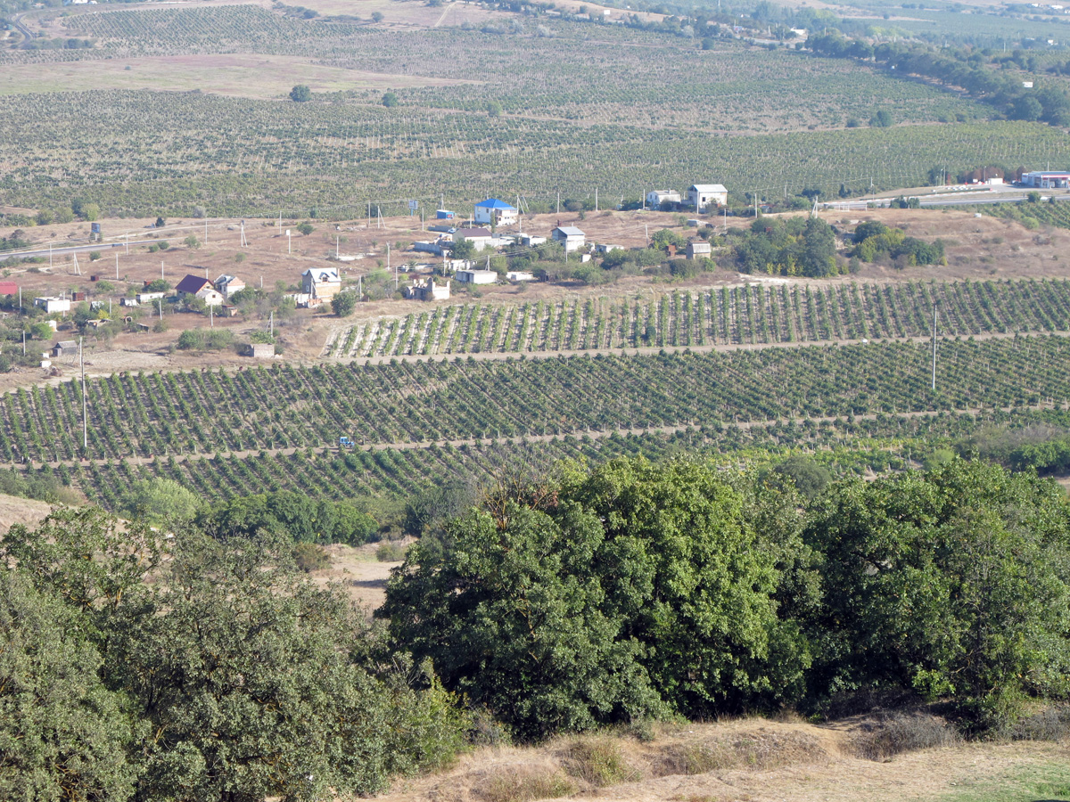 Sevastopol, The "Valley of Death", now a vineyard. From Sapun Gora Hill