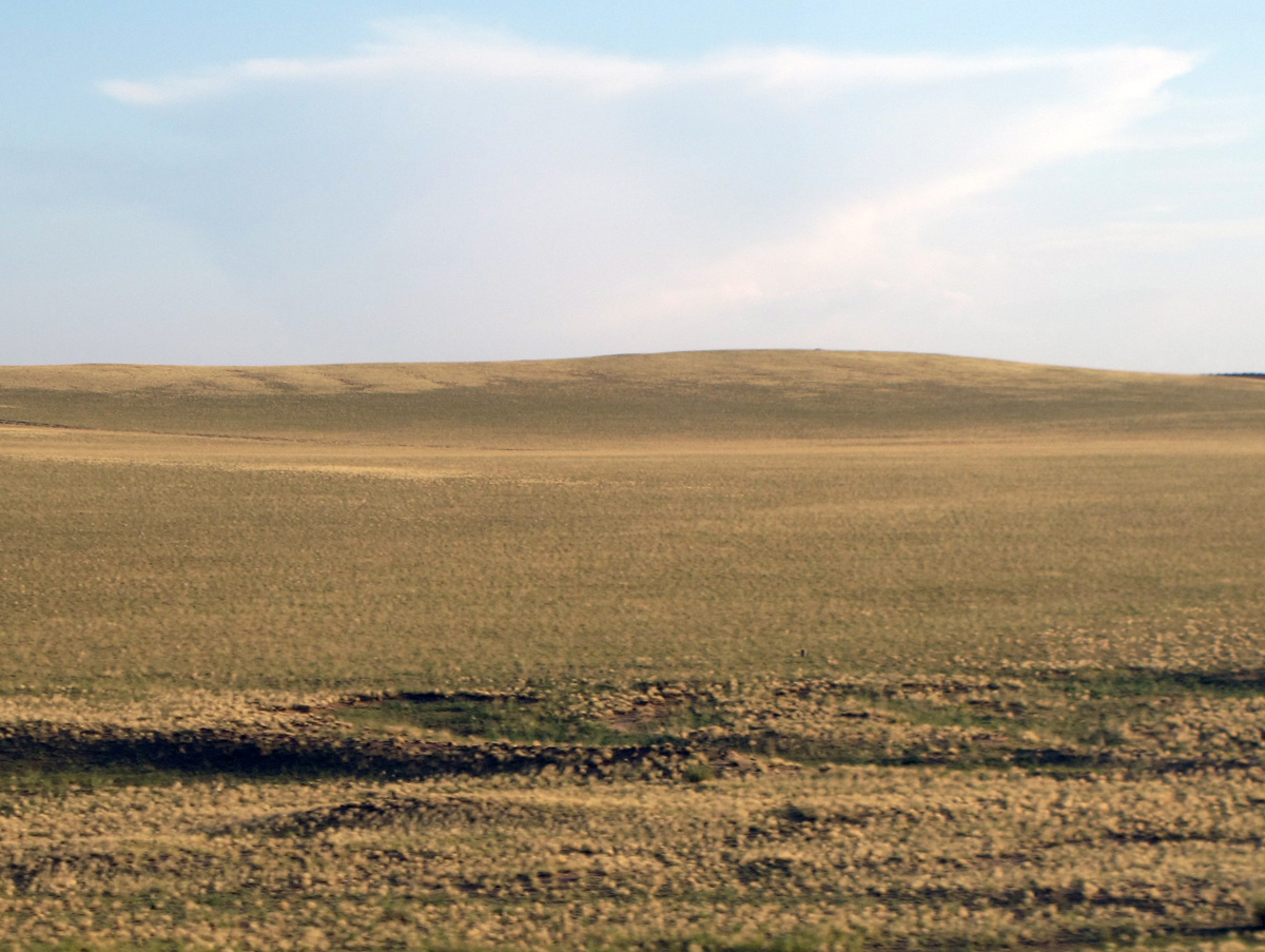 Beijing-U.B., Inner Mongolia Scrubby graslands.