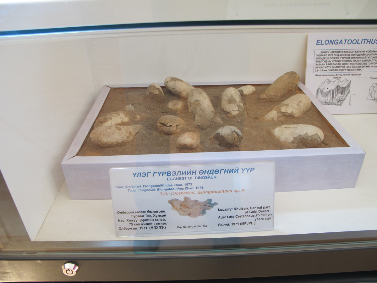 Ulan Bator, Dinosaur Eggs!