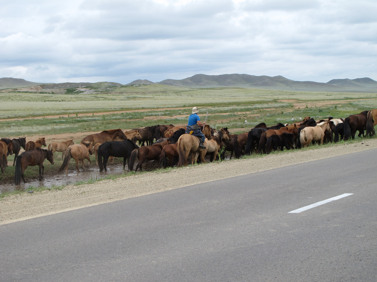Central Mongolia