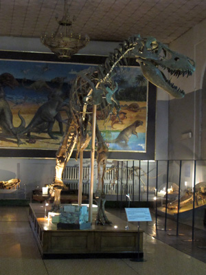 Natural History Museum T-Rex., Ulan Bator, Mongolia 2011
