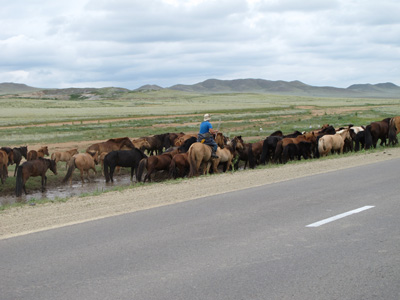 Central Mongolia, Mongolia 2011