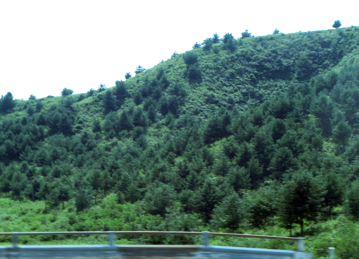 Kaesong