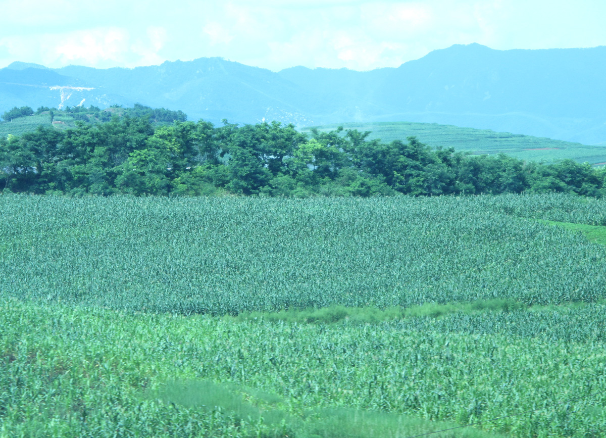 Kaesong