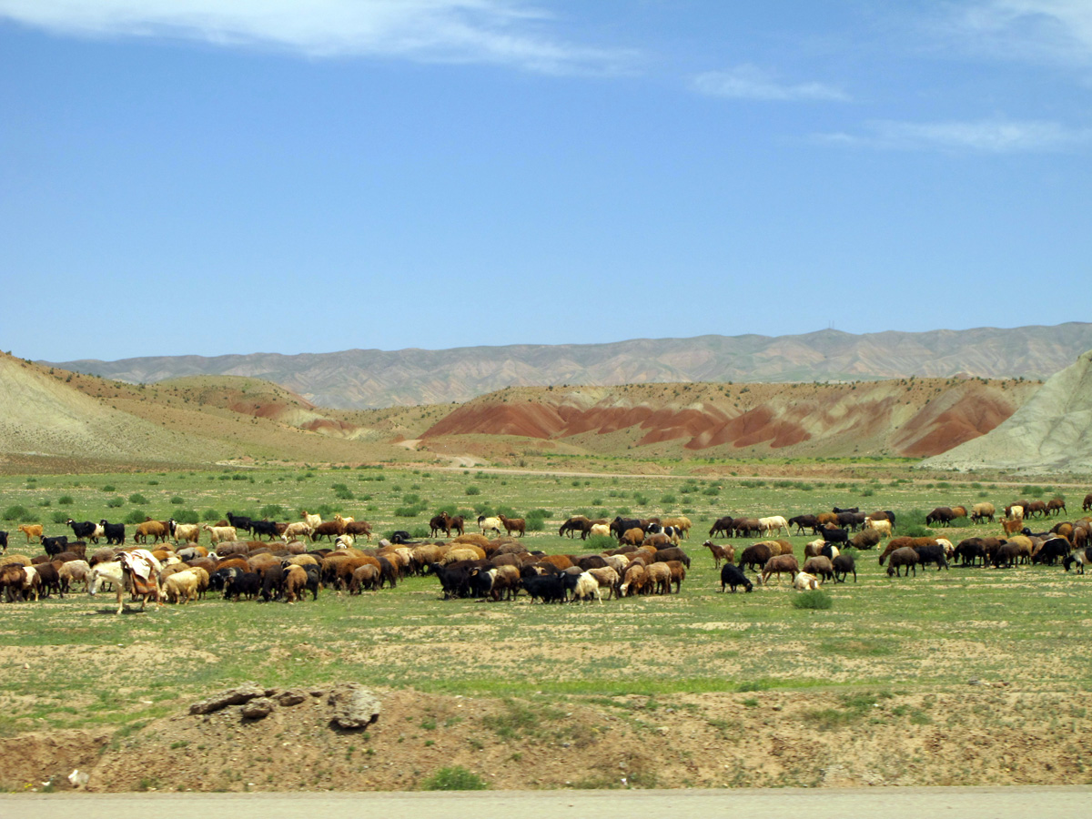 Tabriz, 97 miles SE of Tabriz
