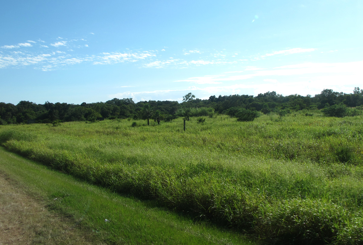 Corrientes, 16 miles NW of Corrientes