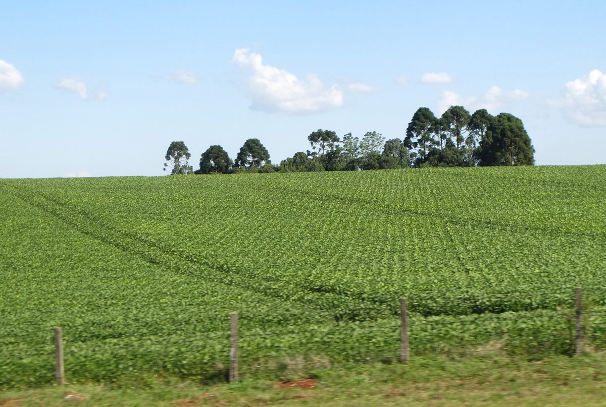 Itaipu, 160 miles West of Curitiba