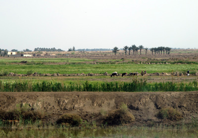 35 miles SE of Babylon, Central Iraq 2012
