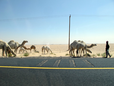 38 miles NW of Kuwait City, Gulf States 2012