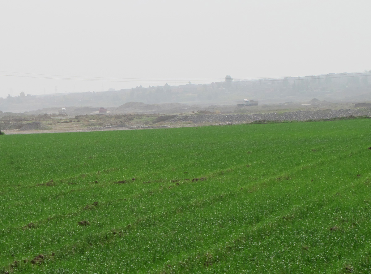Khanis, 21 miles West of Erbil