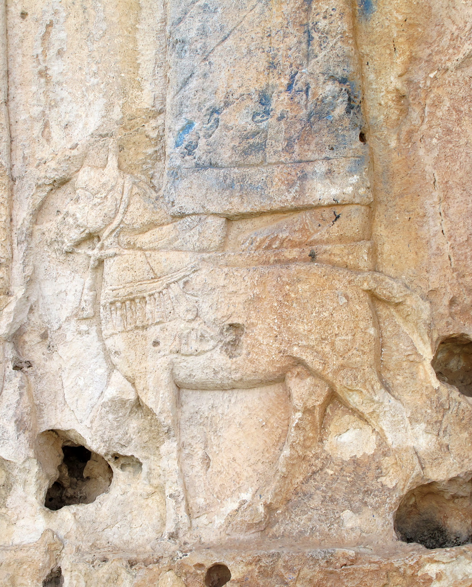 Hilamta, Horse