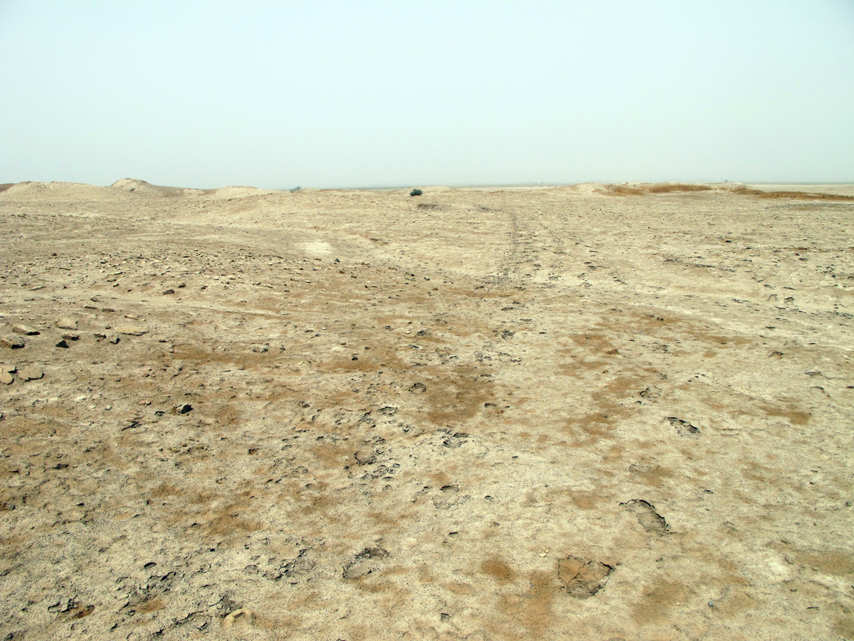 Girsu, Acres and acres of shards