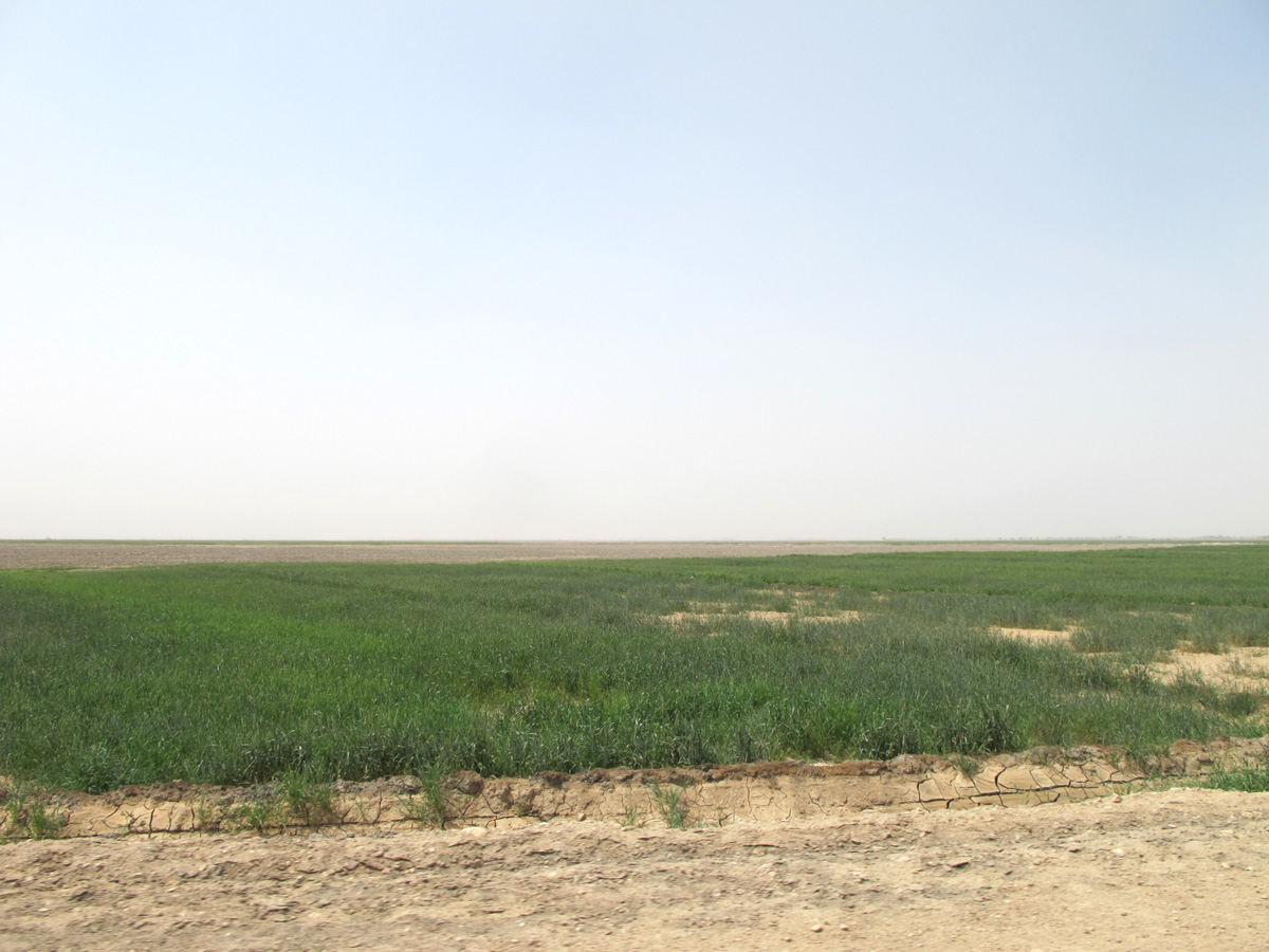 Uruk, 3 miles SW of Uruk
