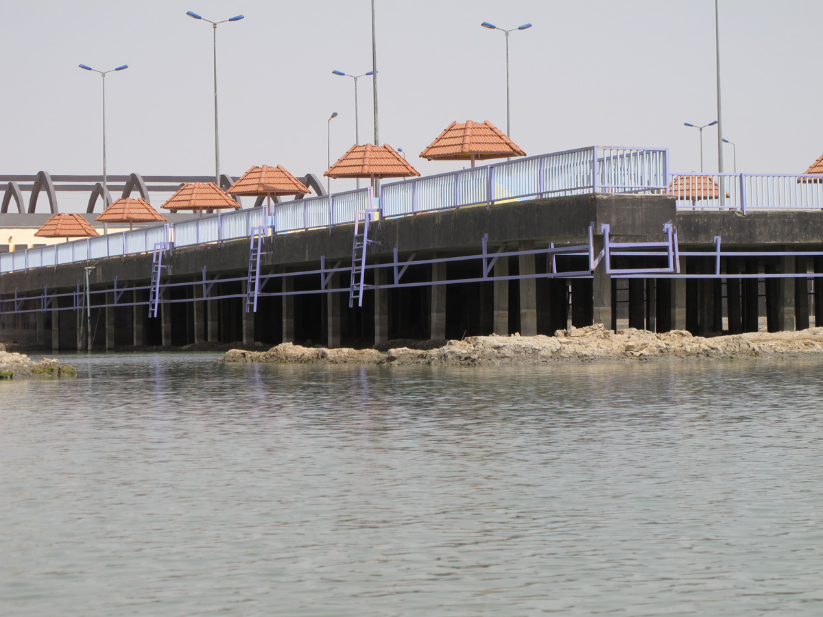 The Marshes, Dock is high and dry