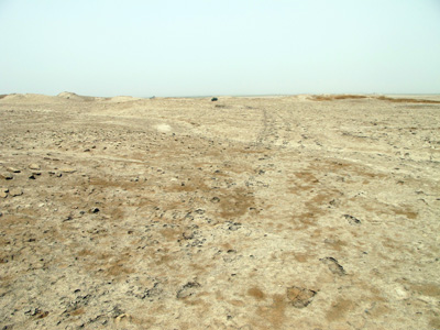 Acres and acres of shards, Girsu, Mesopotamia 2012