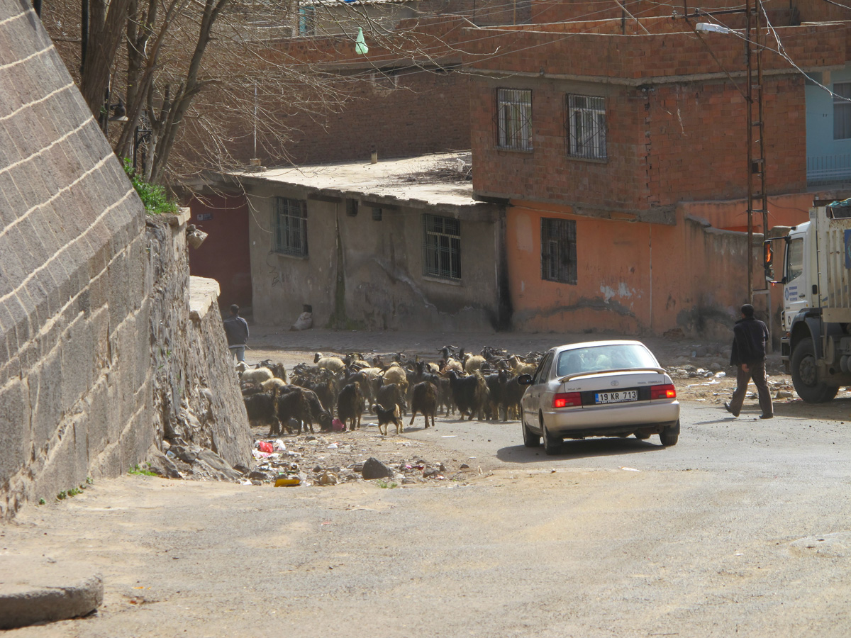 Diyarbakir, Inside the Citadel