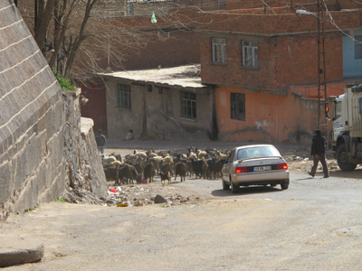 Inside the Citadel, Diyarbakir, South Turkey 2012