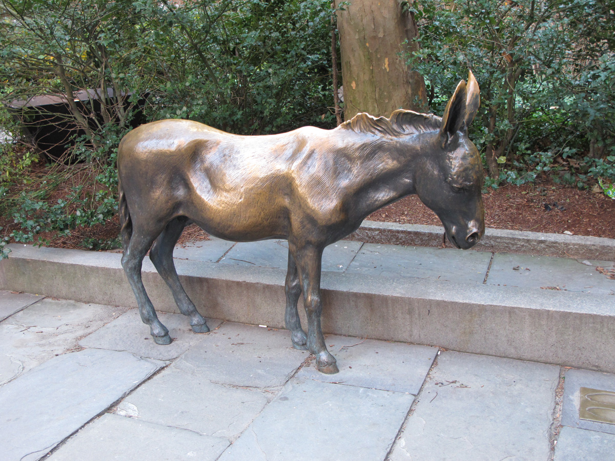 Boston, Random Donkey
