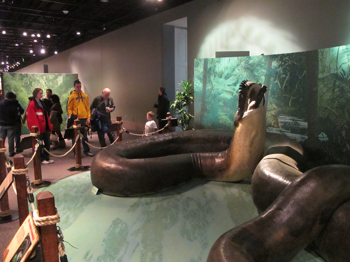 Washington DC, Smithsonian: Titanoboa model