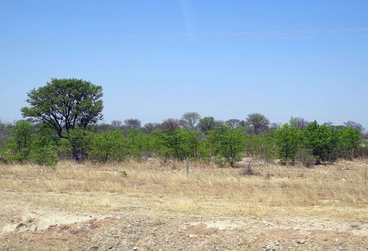 Francistown, Near Francistown