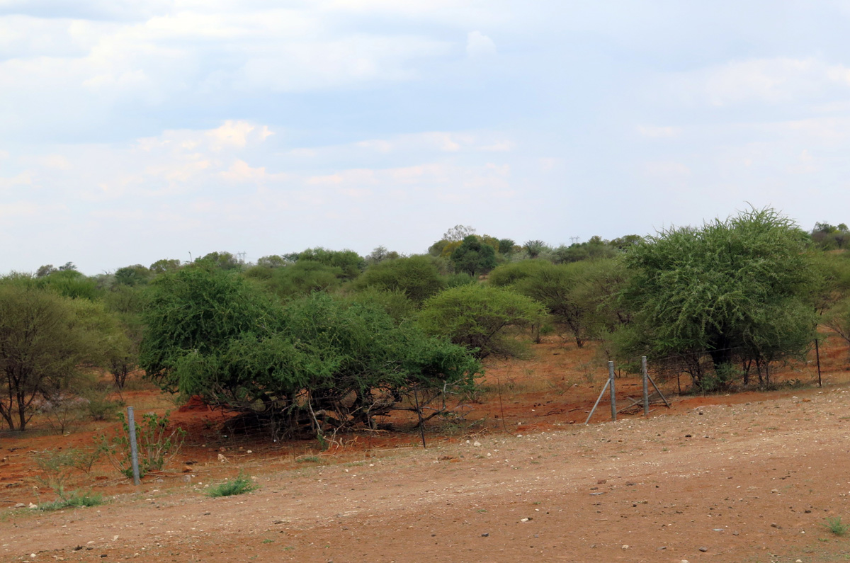 Gaborone, 7 miles NE of Gaborone